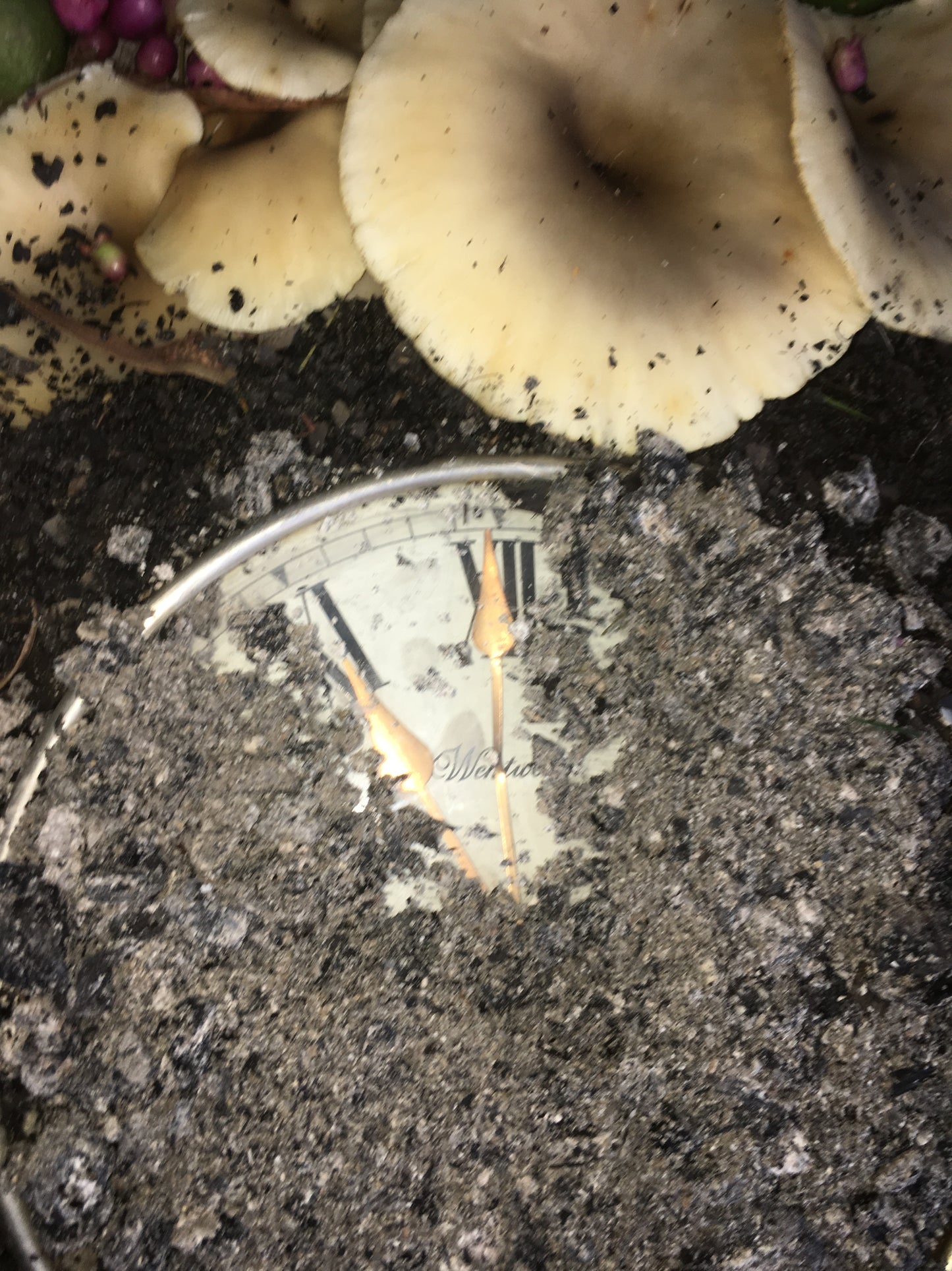 Temporary Installations