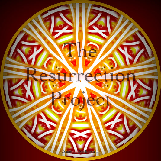 XY - The Resurrection Project Album - Download Card with Cover Art Sticker